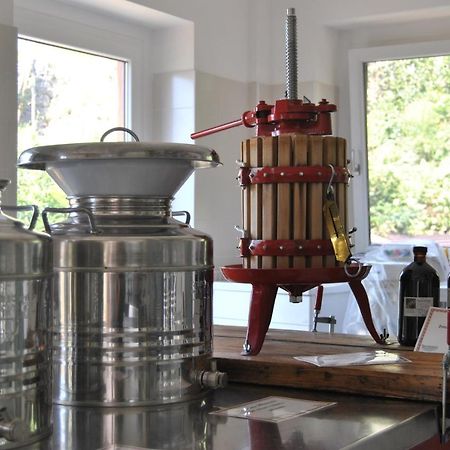Ca' Dei Fazzilisti Bed & Breakfast Мори Екстериор снимка